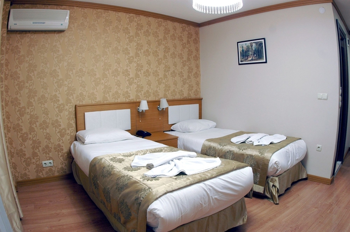 Imagen de la habitación del Hotel Flower Palace. Foto 9