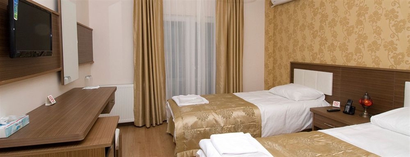 Imagen de la habitación del Hotel Flower Palace. Foto 11