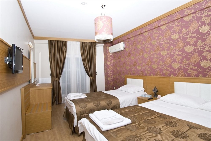 Imagen de la habitación del Hotel Flower Palace. Foto 13