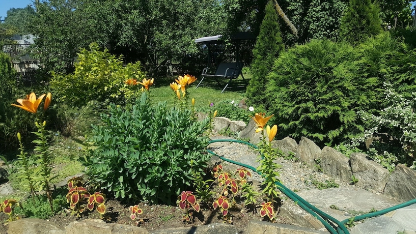 Imagen general del Hotel Flowering garden. Foto 1