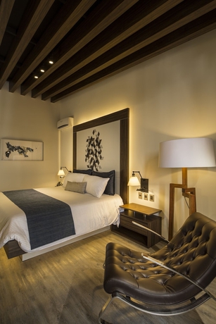 Imagen de la habitación del Hotel Flowsuites Condesa Adults Only. Foto 3