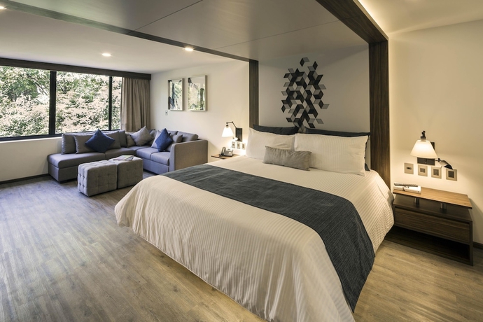 Imagen de la habitación del Hotel Flowsuites Condesa Adults Only. Foto 4