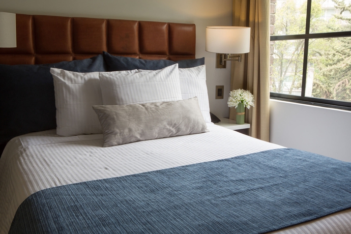 Imagen de la habitación del Hotel Flowsuites Polanco. Foto 7