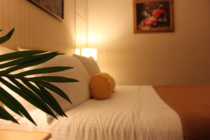 Imagen de la habitación del Hotel Flushing Central. Foto 6