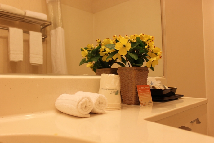 Imagen de la habitación del Hotel Flushing Central. Foto 7