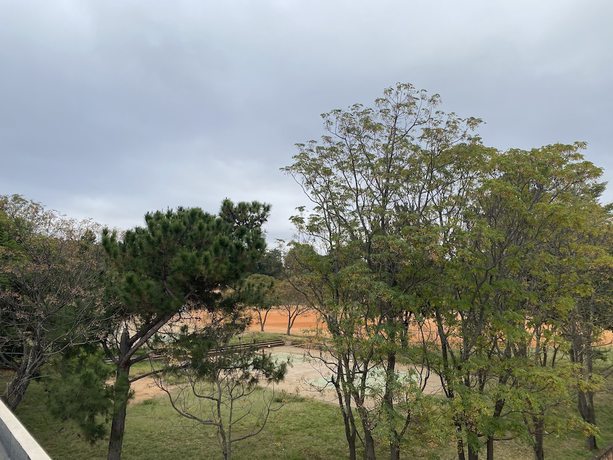 Imagen general del Hotel Fly Inn Madagascar. Foto 3