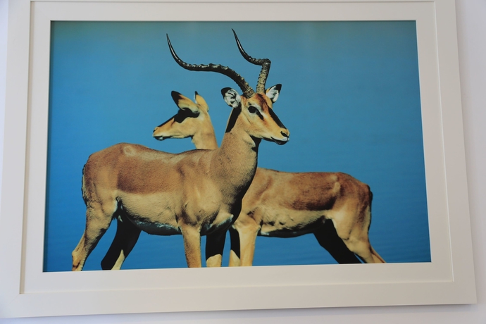 Imagen de los interiores del Hotel Fly, Luanda. Foto 13