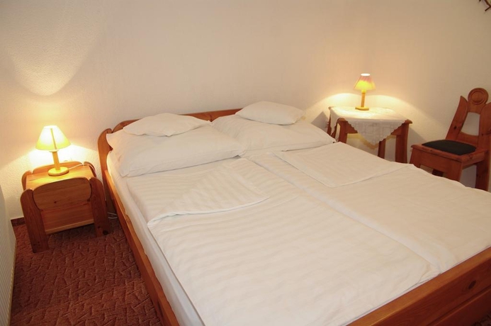 Imagen general del Hotel Fodor Hotel Hal&aacute;szcs&aacute;rda. Foto 7