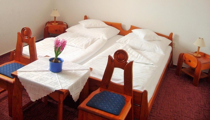 Imagen general del Hotel Fodor Hotel Hal&aacute;szcs&aacute;rda. Foto 15