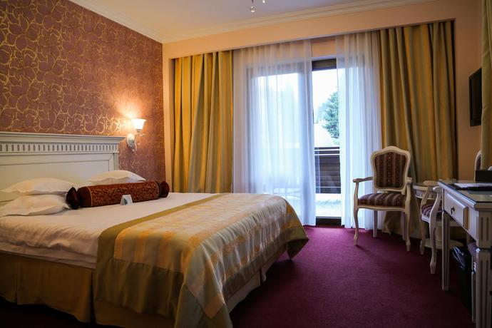 Imagen de la habitación del Hotel Foisorul cu Flori. Foto 11