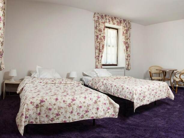 Imagen de la habitación del Hotel Folwark Książęcy. Foto 18