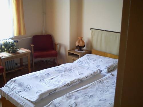 Imagen general del Hotel Fontaine Vend&eacute;gh&aacute;z. Foto 3