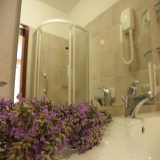 Imagen general del Hotel Fontana Bayside Park. Foto 35