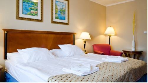 Imagen general del Hotel Fontana, Brno. Foto 1
