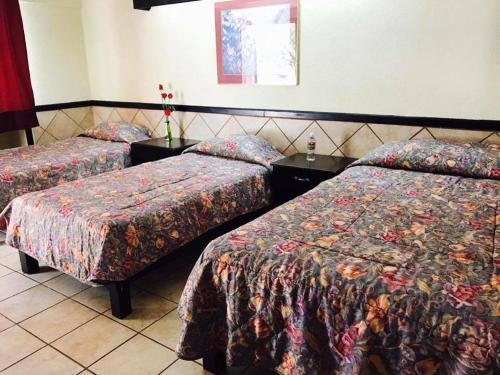 Imagen de la habitación del Hotel Fontana Inn. Foto 7