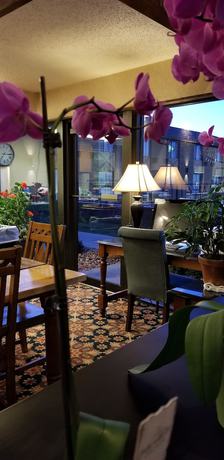 Imagen de los interiores del Hotel Foothills Inn. Foto 14