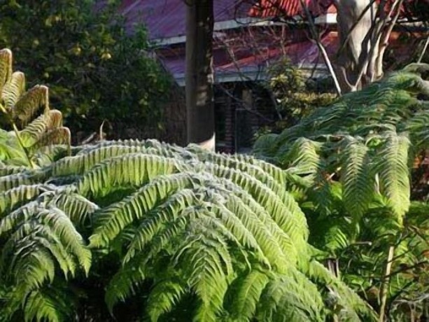 Imagen general del Hotel Ford House Retreat. Foto 8