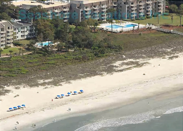 Imagen general del Hotel Forest Beach By Seashore Vacations. Foto 1