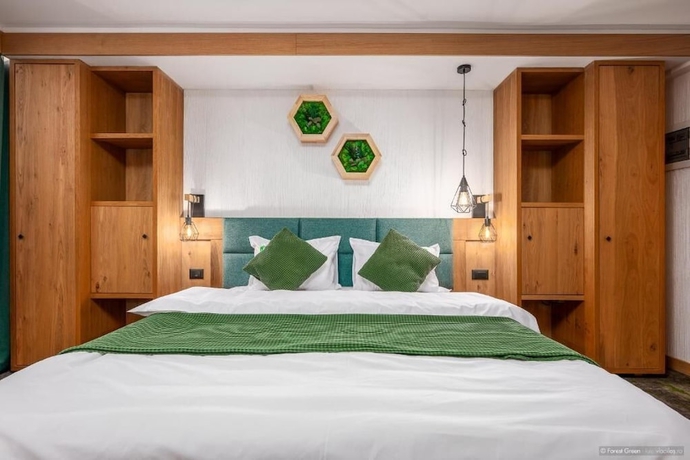 Imagen de la habitación del Hotel Forest Green and SPA. Foto 11