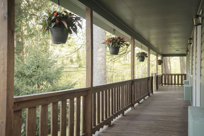 Imagen general del Hotel Forest Hill Lodge and Cabins. Foto 1