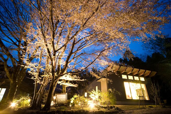 Imagen general del Hotel Forest Inn Born. Foto 3
