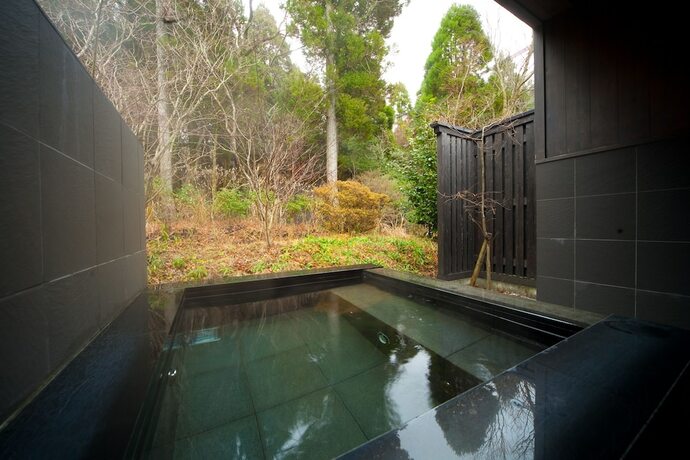 Imagen general del Hotel Forest Inn Born. Foto 11