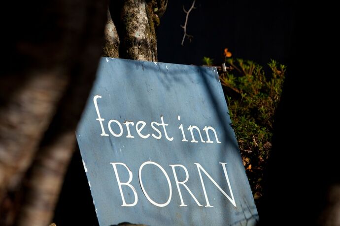 Imagen general del Hotel Forest Inn Born. Foto 12