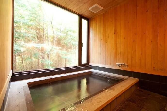 Imagen general del Hotel Forest Inn Born. Foto 13