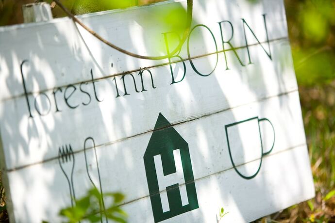 Imagen general del Hotel Forest Inn Born. Foto 18