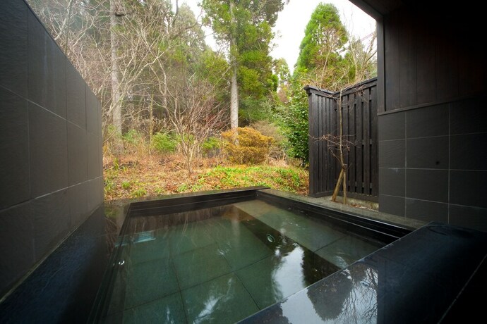 Imagen de la piscina del Hotel Forest Inn Born. Foto 25