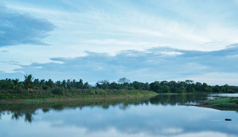Imagen general del Hotel Forest Lodge Eco Camp. Foto 1