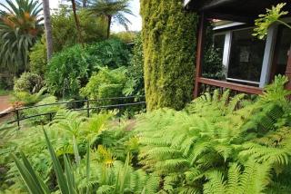 Imagen general del Hotel Forest Lodge Resort. Foto 3