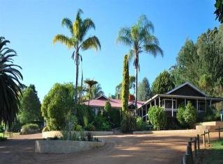 Imagen general del Hotel Forest Lodge Resort. Foto 4