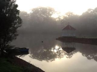 Imagen general del Hotel Forest Lodge Resort. Foto 5