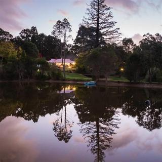 Imagen general del Hotel Forest Lodge Resort. Foto 7