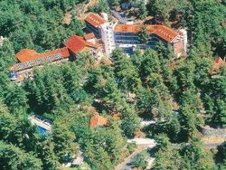 Imagen general del Hotel Forest Park, Platres. Foto 3