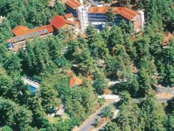 Imagen general del Hotel Forest Park, Platres. Foto 7