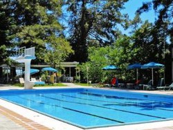 Imagen general del Hotel Forest Park, Platres. Foto 10