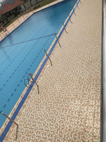 Imagen general del Hotel Forest Park Resort. Foto 6