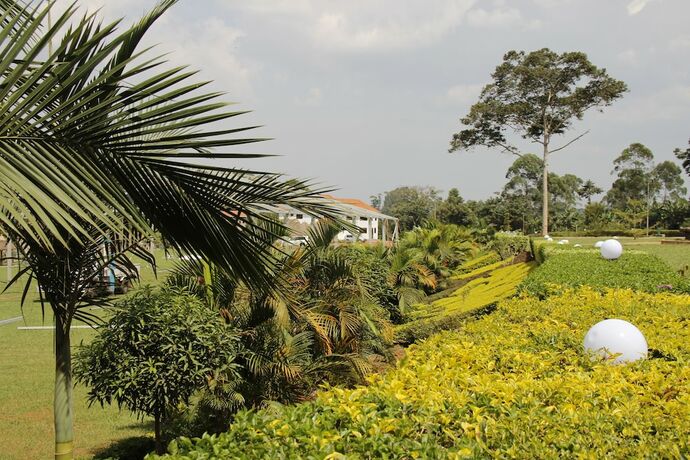Imagen de los exteriores del Hotel Forest Park Resort. Foto 28