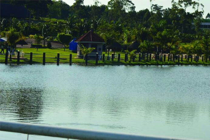 Imagen de los exteriores del Hotel Forest Park Resort. Foto 29