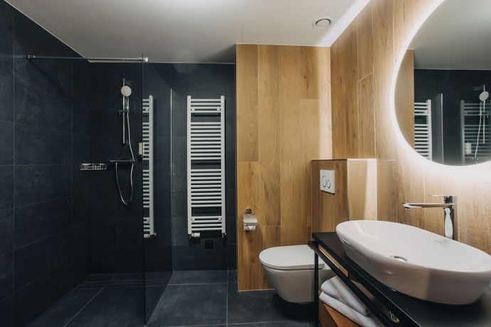 Imagen de la habitación del Hotel Forest Park Resort and SPA. Foto 12