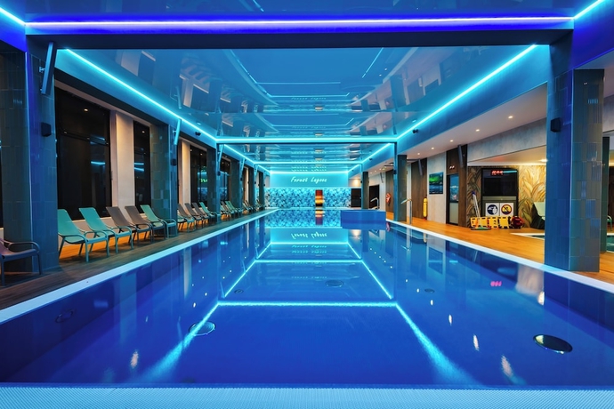 Imagen de la piscina del Hotel Forest Park Resort and SPA. Foto 16