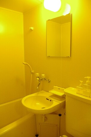 Imagen de la habitación del Hotel Forest Resort Cosmos. Foto 18