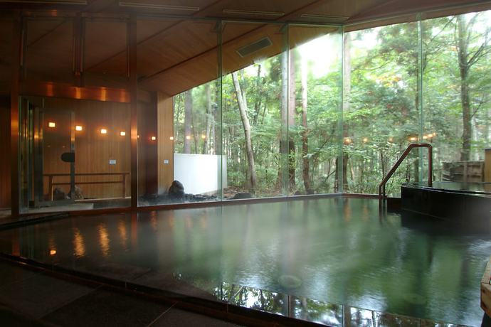 Imagen general del Hotel Forest Resort Yamanote Hotel. Foto 2