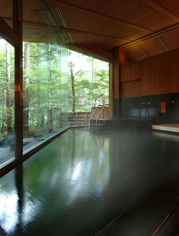 Imagen general del Hotel Forest Resort Yamanote Hotel. Foto 3