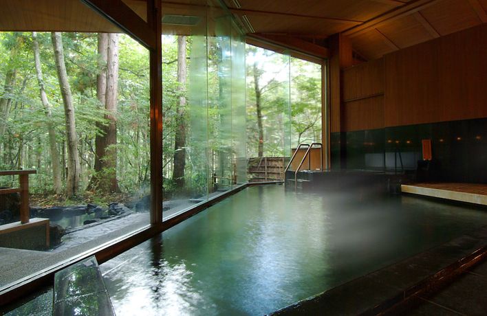 Imagen general del Hotel Forest Resort Yamanote Hotel. Foto 5