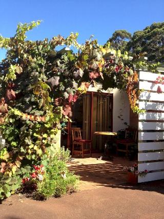Imagen general del Hotel Forest Retreat Bed and Breakfast. Foto 1