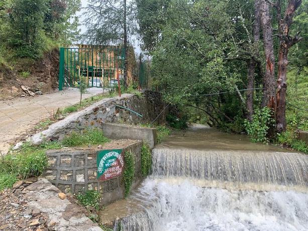 Imagen general del Hotel Forest View Farmhouse Stay. Foto 2