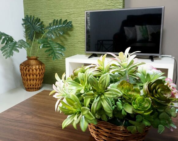 Imagen general del Hotel Forest View Leisure Residences. Foto 11